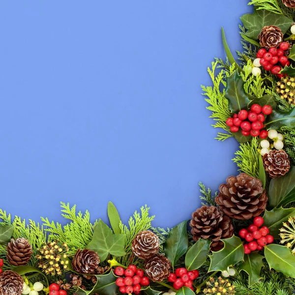 Inverno Natale Capodanno Bordo Sfondo Con Agrifoglio Verde Invernale Vischio — Foto Stock