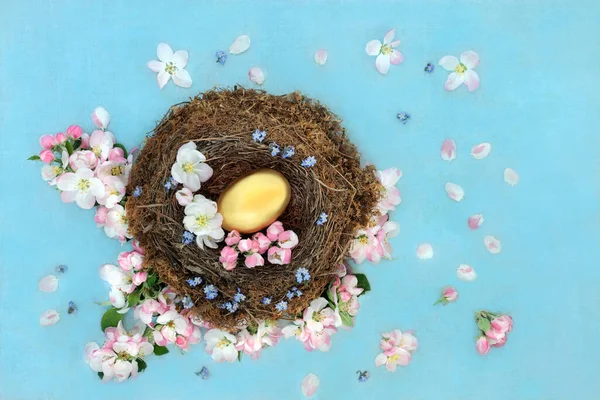 Gouden Nest Een Natuurlijke Vogels Nest Met Appelbloesem Vergeet Niet — Stockfoto