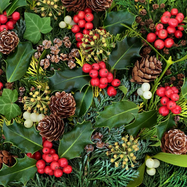ホリー ミステリー 松コーン 杉のヒノキモミの葉と自然 伝統的な冬の植物 クリスマス 新年のシーズンのための組成 フラットレイアウト トップビュー — ストック写真