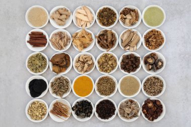 Large collection of traditional chinese fundamental herbs used regularly in herbal medicine in white chnia bowls on mottled grey background. Flat lay.