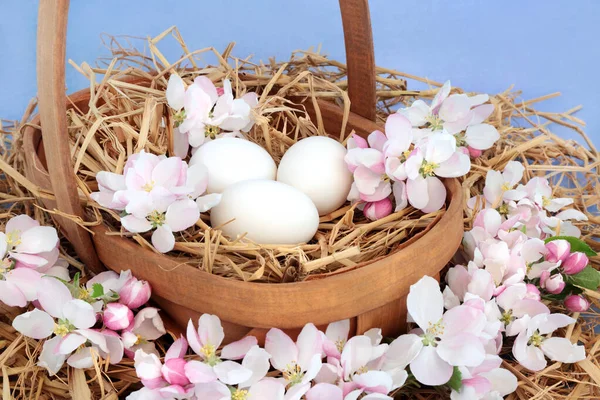 Άνθη Ανοιξιάτικης Ανθοφορίας Φρέσκα Λευκά Αυγά Καλαμάκι Καλάθι Μπλε Φόντο — Φωτογραφία Αρχείου