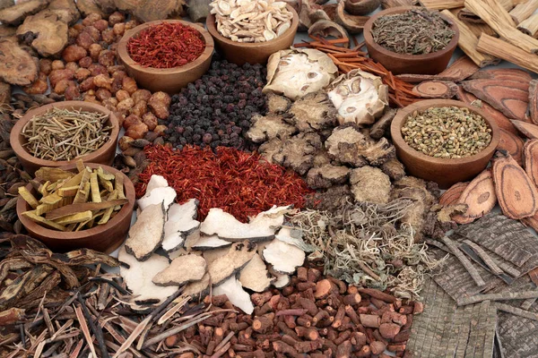 Colección Tradicional Hierbas Medicinales Chinas Con Hierbas Secas Especias Concepto — Foto de Stock