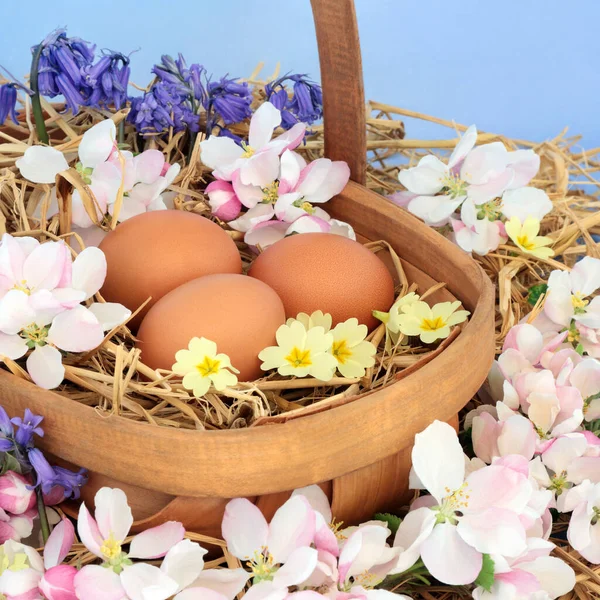 Composición Primaveral Con Huevos Marrones Frescos Sobre Paja Una Cesta — Foto de Stock