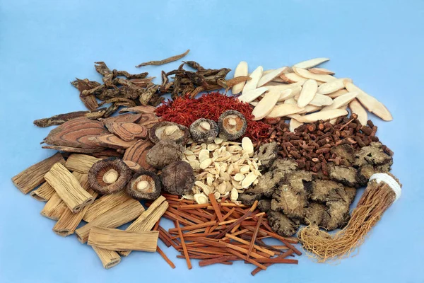 Китайские Травы Специи Выбор Используемый Традиционной Травяной Медицины Пятнистом Синем — стоковое фото