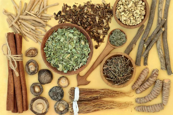 Adaptogène Alimentation Saine Avec Des Herbes Des Épices Aliments Naturels — Photo