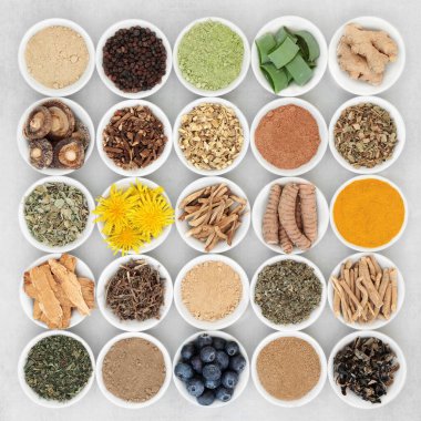 Bitki bazlı adaptojen sağlıklı gıda koleksiyonu, bitkiler, baharatlar, meyve tozu. Vücudun stres ve normal fizyolojik fonksiyonlarla başa çıkmasına yardımcı olan doğal gıdalar. Düz yatıyordu.