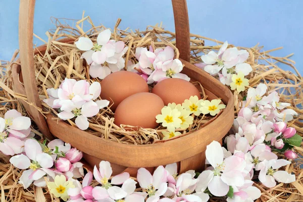 Färska Bruna Ägg Till Frukost Rustik Träkorg Med Våräppelblom Primula — Stockfoto