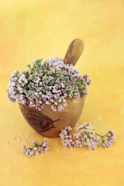 Valerian Herb Flowers Mortar Pestle Used Herbal Medicine Treat Insomnia — Stock Photo, Image