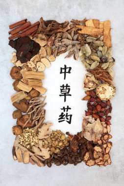 Chinese healing herb collection used in traditional herbal medicine with calligraphy script on rice paper and mottled grey background. Translation reads as chinese healing herbs. Flat lay.
