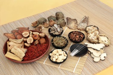 Kurutulmuş otlu Çin bitkisi ve akupunktur iğneli baharat. Alternatif & doğal sağlık hizmeti kavramı.