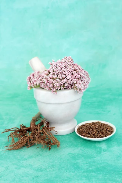 Valerian Herbal Bunga Dalam Mortir Dengan Alu Dengan Akar Kering — Stok Foto