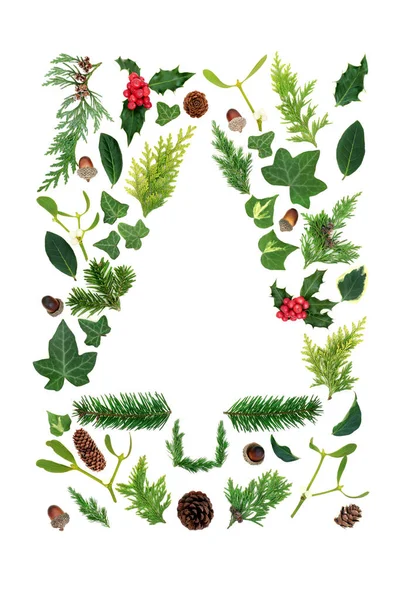 Χριστουγεννιάτικο Δέντρο Έννοια Σχήμα Αγγλική Χειμώνα Πράσινο Χαλαρά Μούρα Holly — Φωτογραφία Αρχείου