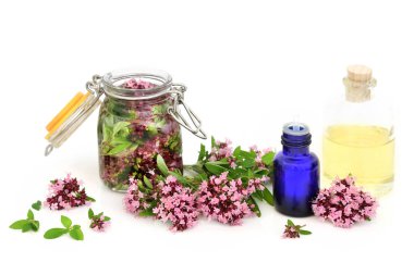 Oregano bitkisi çiçekleri, yapraklar, yağ şişeleriyle gevşek ve demlenmiş. Doğal bitkisel ilaçlarda kullanılır. IBS semptomlarını azaltır. Anti bakteriyel, enflamatuar, pıhtılaşma önleyici..