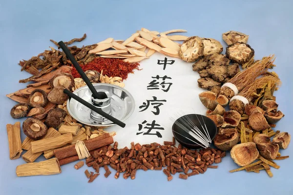 Chinese Herbs Moxa Sticks Acupuncture Needles Used Herbal Plant Medicine — Stockfoto