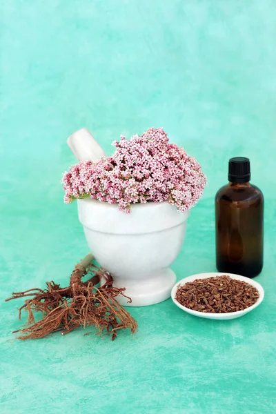 Valerian Herb Flowers Dried Root Used Herbal Plant Medicine Tranquillizer — Stock Photo, Image