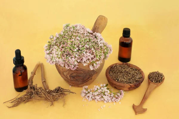 Valerian adaptogen herbal plant medicine with flowers, dried root and medicine bottles. Used to treat insomnia, anxiety, headache, digestive problems, menopause symptoms, muscle pain, fatigue.