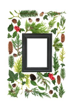 Yeşillikle birlikte soyut Noel ve kış çerçevesi. Doğal gündönümü, Noel ve yeni yıl doğa düzenlemesi. Beyaz arka planda. Üst görünüm, düz görünüm kopyalama alanı.