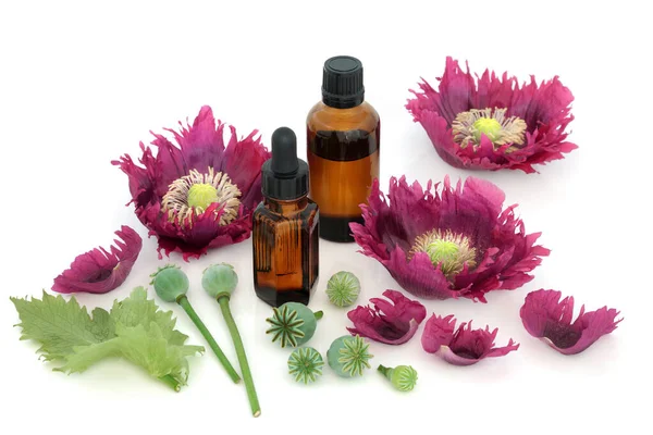 Flores Amapola Cabezas Semillas Con Frascos Medicina Semillas Utilizadas Medicina — Foto de Stock