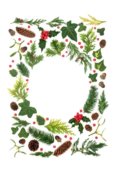ヨーロッパの冬の緑 ホリー 白の赤い果実の自然研究の背景の境界 Solsticeクリスマスと新年の休暇シーズンのための環境に優しい組成 トップ表示フラットレイコピースペース — ストック写真