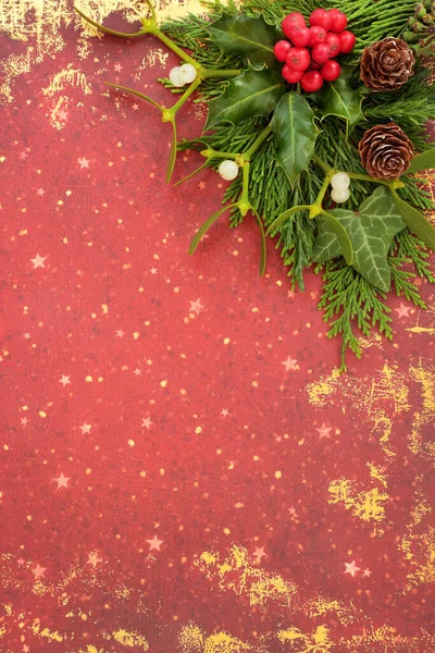 Зимнее Солнцестояние Рождественская Абстрактная Граница Естественной Холли Зимней Зеленью Омелы — стоковое фото