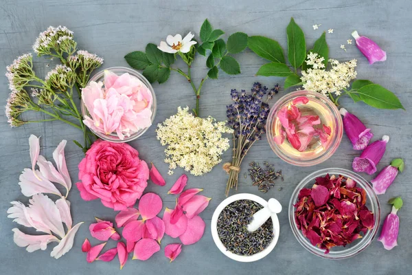 Natürliche Pflanzliche Heilmittelzubereitung Mit Kräutern Und Blumen Pflanzliches Alternatives Gesundheitskonzept — Stockfoto