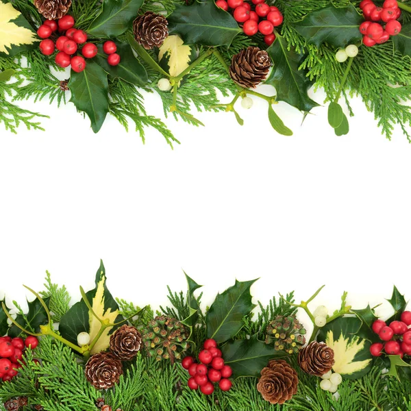 Wintergrün Sonnenwende Weihnachten Und Neujahr Hintergrund Grenze Mit Stechpalme Zedernzypresse — Stockfoto