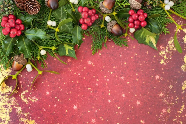 Natürliche Winter Weihnachten Und Neujahr Abstrakte Hintergrundkomposition Mit Stechpalme Efeu — Stockfoto