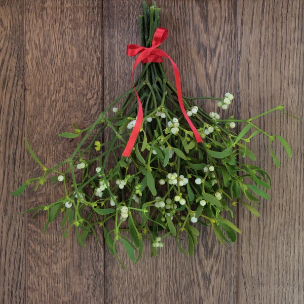 Mistletoe — Stock Photo, Image