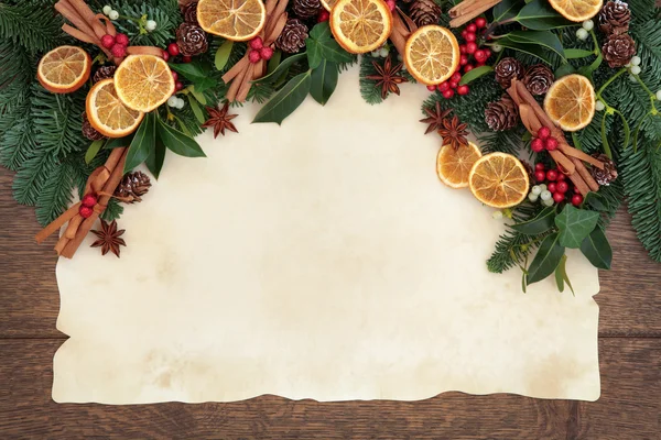 Festive Fruit Border — Stock Photo, Image