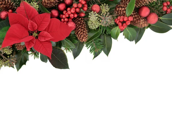 Traditional Christmas Border — Stock Photo, Image