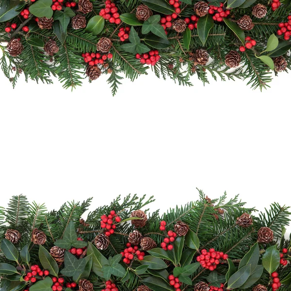 Winter Floral Border — Zdjęcie stockowe