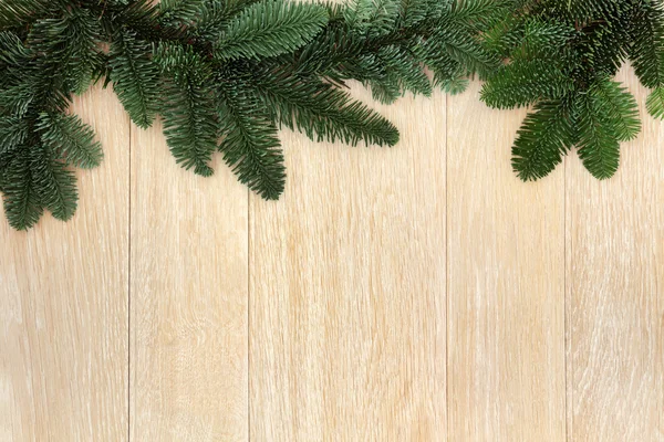 Fir Leaf Border — Stock Photo, Image