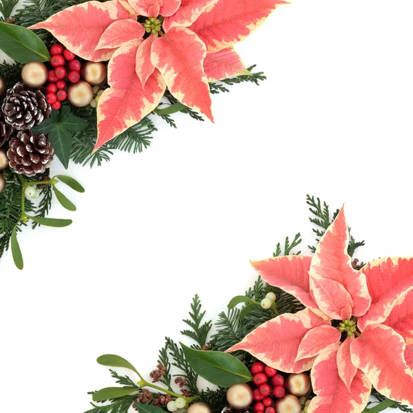 Frontera Floral de Poinsettia — Foto de Stock