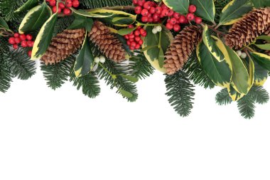 Kış yeşil sınır