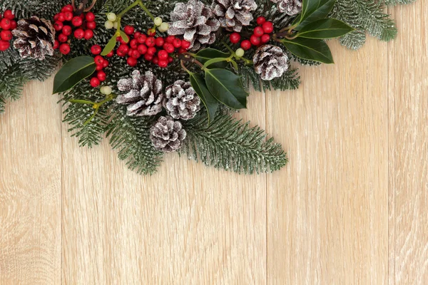 Christmas Greenery — Stock Photo, Image