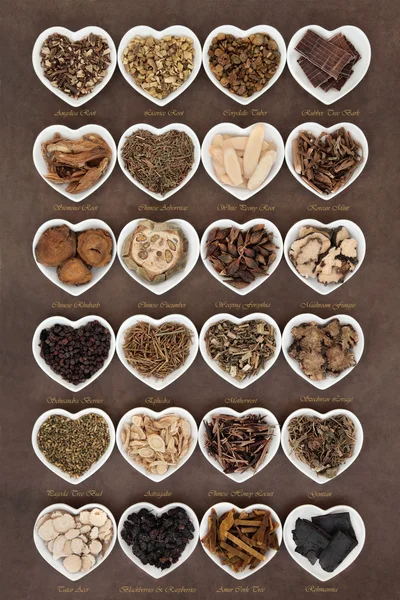 Medicina herbal chinesa — Fotografia de Stock