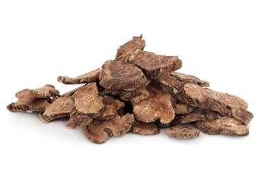atractylodes yumru
