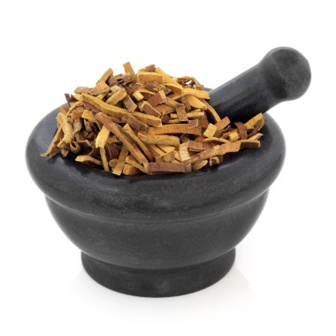 Amur cork ağaç kabuğu