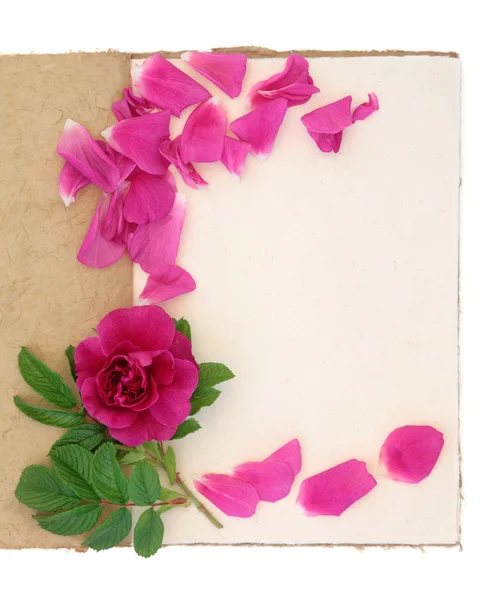 Rose Flower and Notebook — Stock Photo, Image