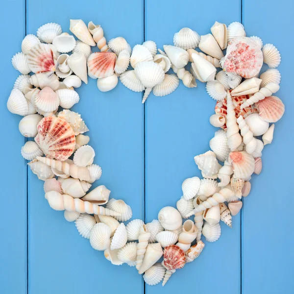 Corazón de conchas marinas — Foto de Stock
