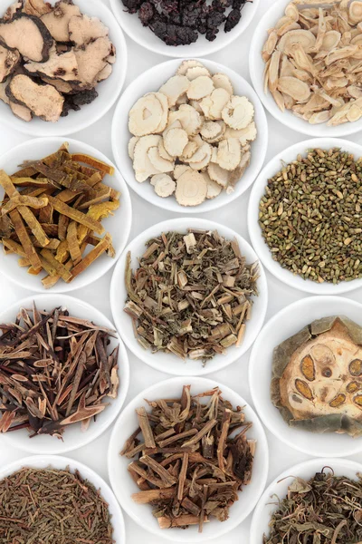 Chinese Herbs — Stock Photo, Image