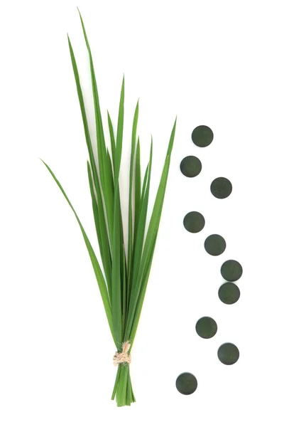 Chlorella tabletta és a búza fű — Stock Fotó