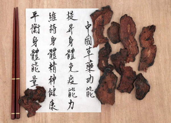 Cibota 块茎 — 图库照片