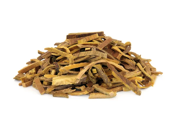 Amur Cork Tree Bark Herb — Stock Photo, Image