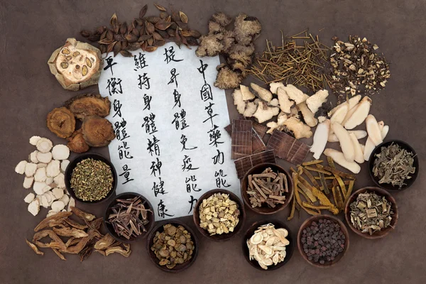 Medicina herbal chinesa — Fotografia de Stock