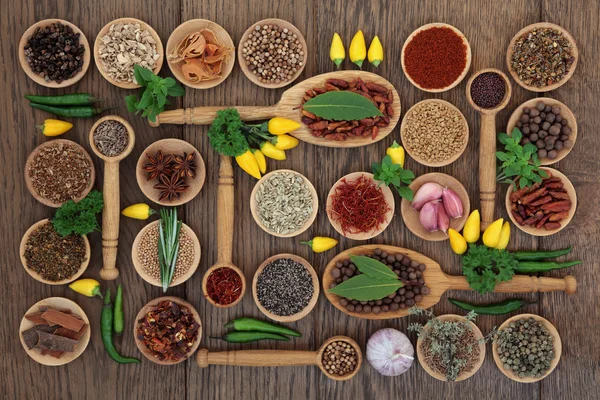 Chili kryddor och örter — Stockfoto