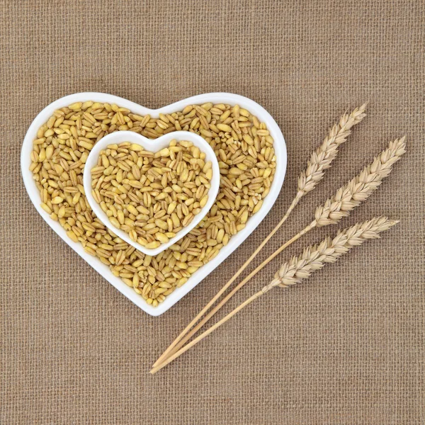 Kamut Khorasan Wheat — Stock Photo, Image