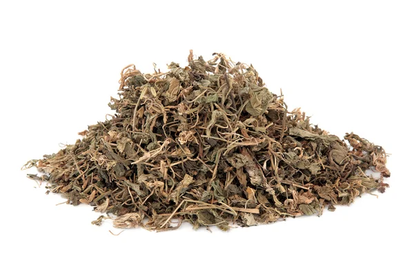 Gentian Herb — Stock Photo, Image
