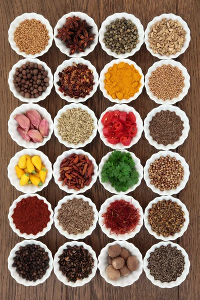 Grote kruid en Spice Sampler — Stockfoto