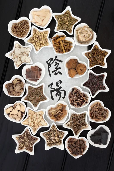 Yin Yang medicina herbal chinesa — Fotografia de Stock